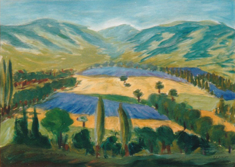 Drôme Provençale