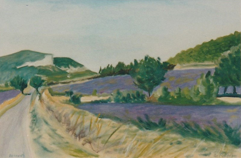Lavandes à Béconne