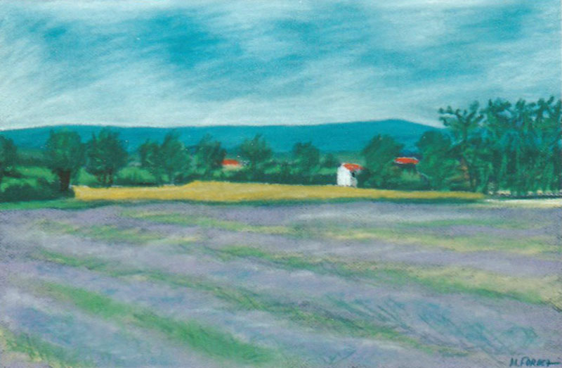Lavandes à Valréas