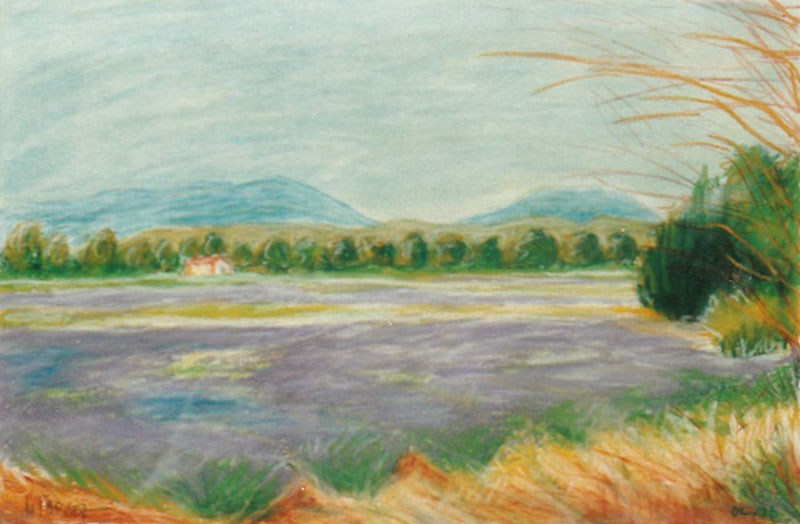 Lavandes à Valréas
